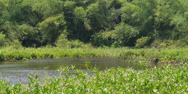 Danau Koliheret di Desa Watudiran, Kecamatan Waigete, Kabupaten Sikka, Flores, Nusa Tenggara Timur.