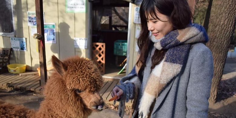 Di Dacho Oukoku (kerajaan burung unta), Jepang, ini juga ada area bernama Minami no Makiba di mana wisatawan dapat bermain dengan lebih dari 50 jenis hewan seperti kanguru dan kuda poni, alpaca (hewan sejenis unta yang berasal dari Amerika Selatan).