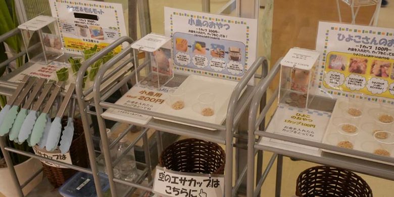 Moff animal cafe cabang Aeon Mall Makuhari Shintoshin di Prefektur Chiba, Jepang.