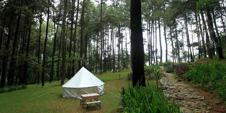 Glamourous Camping atau Glamping di Taman Wisata Alam Gunung Pancar, Bogor.
