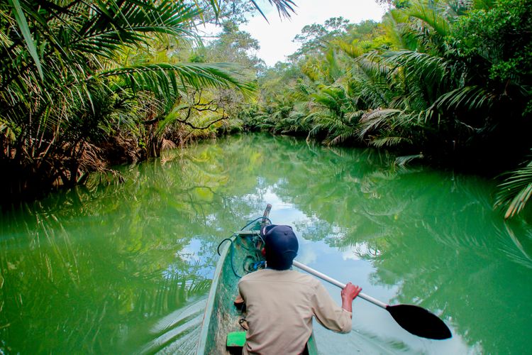 Perjalanan menyusuri Sungai Cigenter, Taman Nasional Ujung Kulon.
