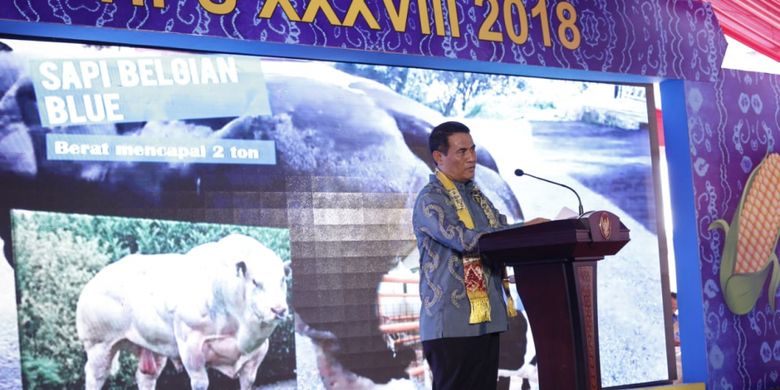 Menteri Pertanian Amran Sulaiman pada pembukaan puncak Peringatan HPS ke-38 di Desa Jejangkit, Kecamatan Jejangkit, Kabupaten Barito Kuala, Kalimantan Selatan, Kamis (18/10/2018). 