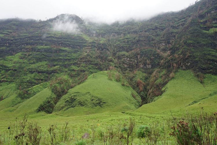 Bukit Timur Savana, Kawasan Taman Nasional Gunung Bromo Tengger Semeru, lokasi penemuan sumber air bersih bagi Desa Ngadas dan Jetak, Kabupaten Probolinggo, Jawa Timur.