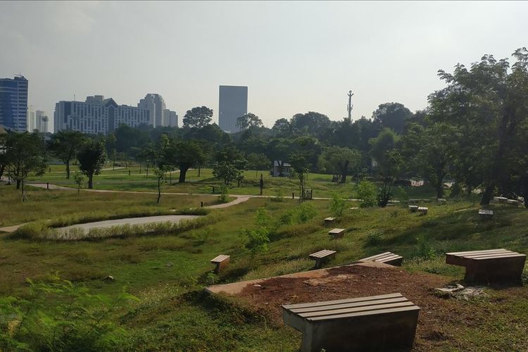 Suasana di Hutan Kota GBK terik, Rabu (19/6/2019).