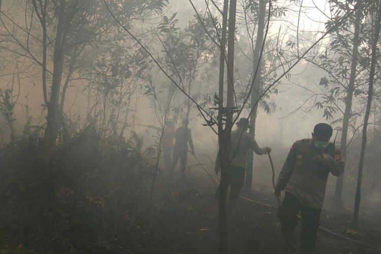 Petugas gabungan terlihat berupaya memadamkan kebakaran lahan yang terjadi di Jalan Wonodadi II, Desa Arang Limbung, Kabupaten Kubu Raya (21/2/2018)