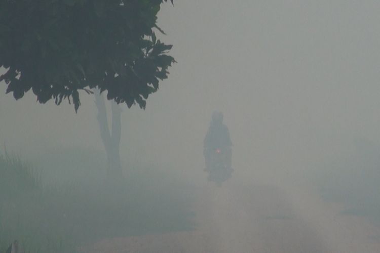 Tebalnya asap ssia kebaaran lahan di Kecamatan Pemulutan Ogan Ilir membuat jalan tertutup asap hingga pengendara yang melintas di jalan tersebut nyaris tak terlihat