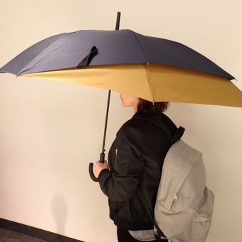 Back Protect Umbrella 
