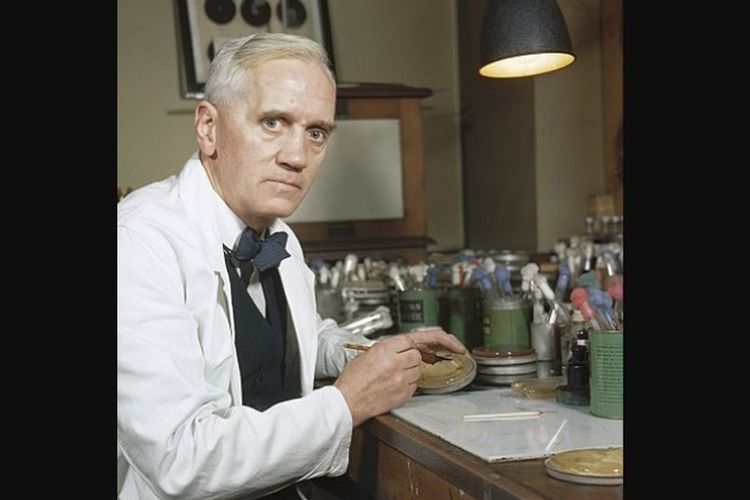 Ahli bakteri, Alexander Fleming, yang menemukan penisilin sebagai antibiotik pertama.
