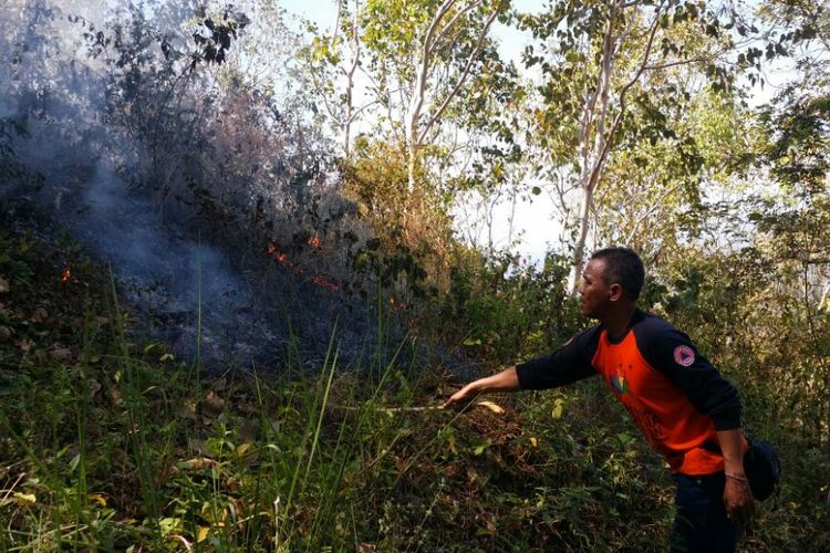 Salah satu anggota Badan Penanggulangan Bencana Daerah Kabupaten Ponorogo berupaya memadamkan kobaran api yang membakar hutan di Dusun Platang, Desa Krebet, Kecamatan Jambon, Kabupaten Ponorogo, Jawa Timur, Senin ( 7/8/2017) siang. 