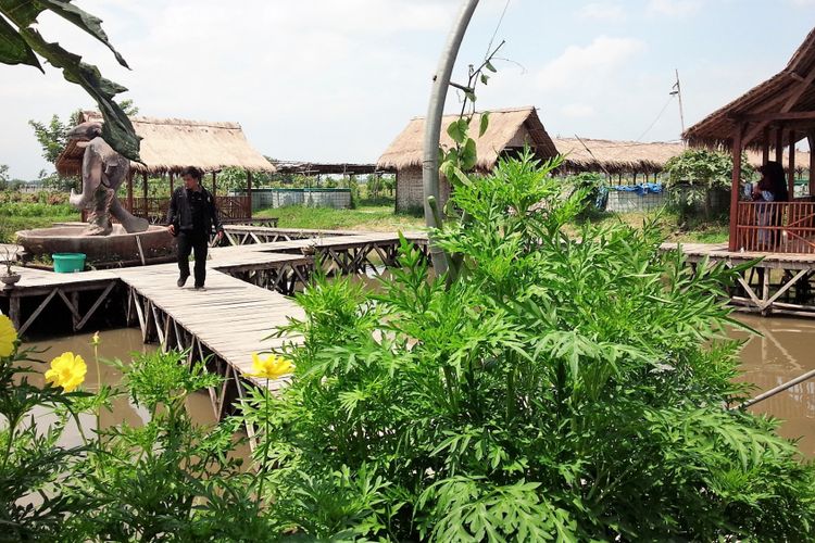 Salah satu lokasi di kawasan Taman Wisata dan Edukasi Pertanian Banjarsari Agro Community (BAC). Taman Wisata dan Edukasi Pertanian ini dikelola oleh BUMDes Banjarsari, Kecamatan Bandar Kedungmulyo, Kabupaten Jombang, Jawa Timur.