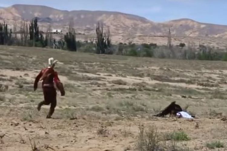 Seorang pawang bergegas berlari menghampiri gadis yang diserang burung elang saat pertunjukan di Kirgistan.