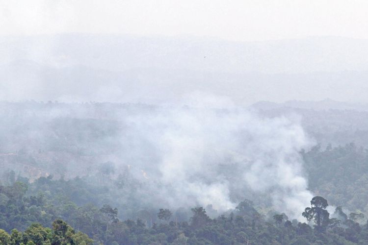 Kepulan asap dari pembakaran hutan untuk membuka lahan perkebunan di dataran tinggi Nisam Antara, Aceh Utara, Aeh, Minggu (30/7/2017). Badan Meteorologi, Klimatologi, dan Geofisika (BMKG) Aceh menyebutkan 49 titik panas terpantau oleh satelit berada di delapan wilayah di Aceh sehingga menyebabkan bencana kabut asap hampir merambah 23 kabupaten/kota di Aceh. 