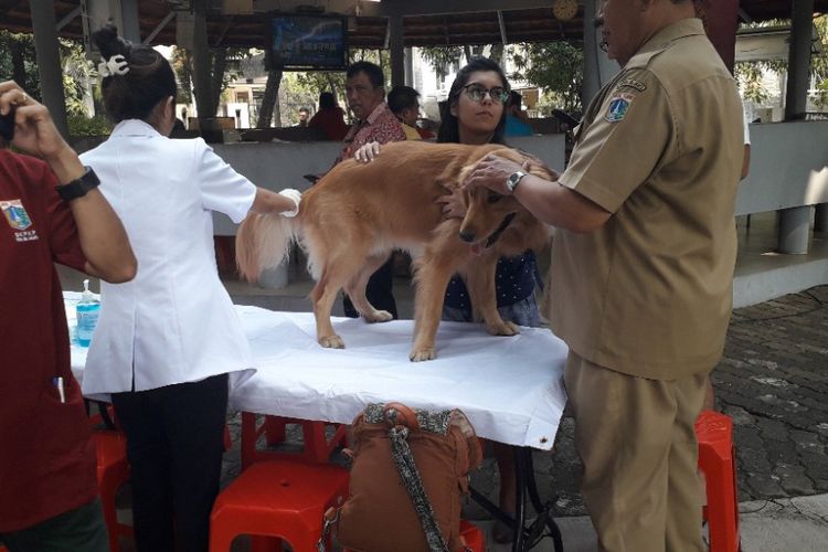 Sudin KPKP Jakarta Utara menggelar vaksinasi rabies terhadap hewan peliharaan di RW 20 Sunter Agung dalam rangka Hari Rabies Dunia, Selasa (2/10/2018).