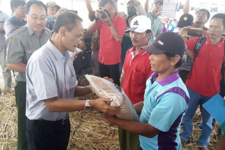 Kegiatan Kawasan Mandiri Pangan (KMP) kata Kepala Badan Ketahanan Pangan (BKP) Kementerian Pertanian Agung Hendriadi diselenggarakan pada 17 provinsi dan 29 kabupaten di Indonesia.