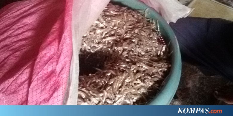 Mencicipi Rusip, Ikan Laut Fermentasi Khas Bangka Belitung