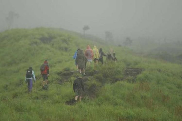 Pendaki menapaki padang sabana menuju puncak Gunung Rinjani di Nusa Tenggara Barat, Minggu (24/1/2016). Saat ini, 90 persen pendaki gunung berapi kedua tertinggi di Indonesia dengan ketinggian 3.726 meter di atas permukaan laut itu adalah wisatawan mancanegara.
