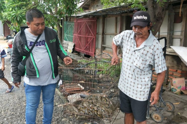 Dua warga Perumahan Graha Prima Sentosa, Kelurahan Kaliabang Tengah, Kecamatan Bekasi Utara, Kota Bekasi mengangkat kandang yang berisi ular sanca sepanjang 3,5 meter usai ditangkap karena masuk ke dalan rumah, Senin (28/1/2019).
