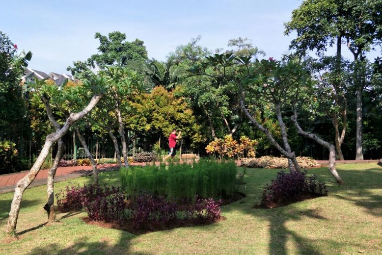 Taman Spathodea di Jalan Raya Kebagusan, Jagakarsa, Jakarta Selatan. Foto diambil Jumat (16/3/2018).