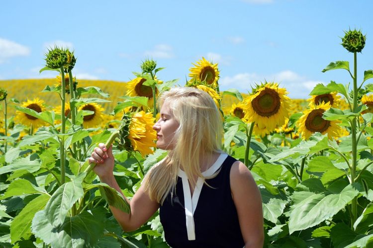 Mencium aroma bunga matahari