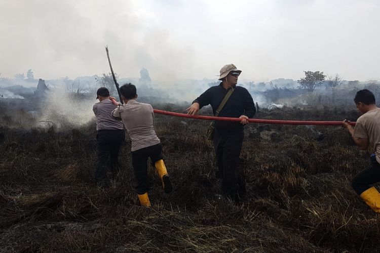 Tim Satgas Kebakaran Hutan dan Lahan di Riau berjibaku memadamkan api akibat kebakaran lahan yang kembali terjadi di Provinsi Riau.