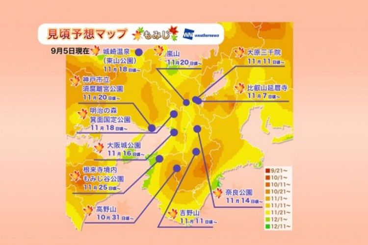 Jadwal Puncak Musim Gugur di Jepang Tahun 2018