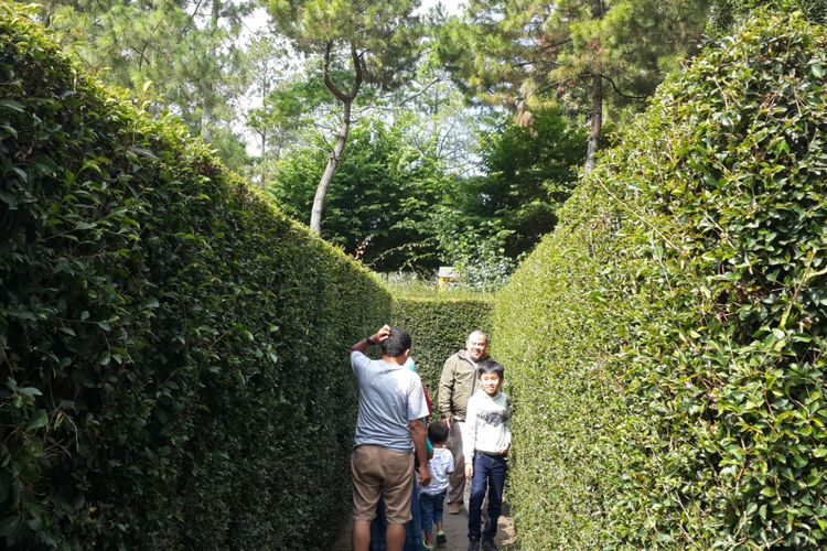 Sulitnya Mencari Air Mancur Di Taman Coban Rondo Ada Yang