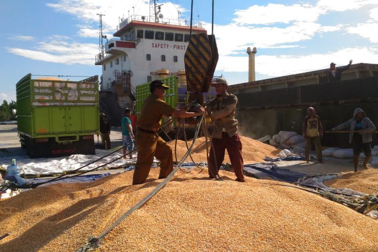 Kabupaten Tojo Una-Una di Sulawesi Tengah mengekspor jagung ke Filipina sebesar 14.000 ton, Senin (9/7/2018)