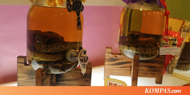 Habu Sake, Ada Ular di Dalam Botol Sake, Berani Mencoba?
