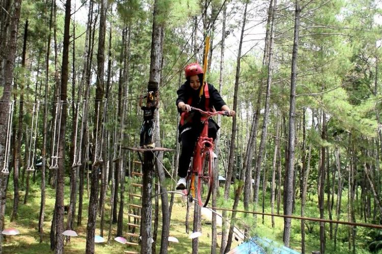 Seorang pengunjung mencoba menggunakan waha sepeda melayang di Wisata Hutan Pinus Samparona, Kelurahan Kaisabu Baru, Kecamatan Sorawolio, Kota Baubau, Sulawesi Tenggara, Minggu (11/2/2018).