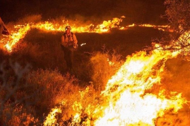 Sebanyak 6 orang diyakini masih terjebak di dalam hutan yang terbakar. (BBC)