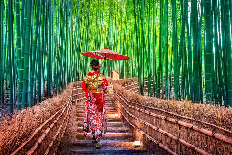 Salah satu hutan bambu yang terkenal akan keindahannya adalah Hutan Bambu Arashiyama yang berada di Jepang.