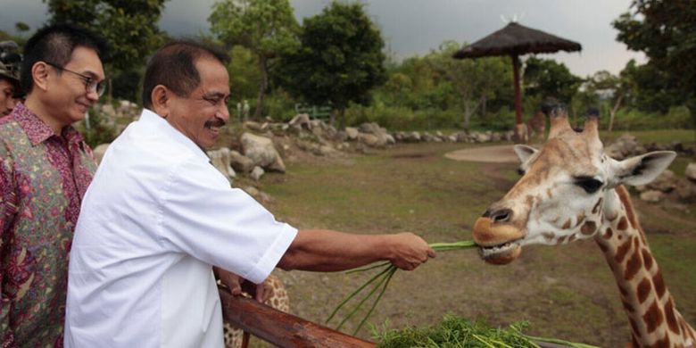 Menteri Pariwisata Arief Yahya meresmikan Baobab Safari Resort and Convention di Taman Safari II Prigen, Pasuruan, Jawa Timur, Kamis (3/8/2017). Taman Safari Indonesia II Prigen memiliki 4 zona yaitu zona satwa, zona rekreasi, zona baby zoo, dan zona Baobab. Baobab Safari Resort memiliki 148 kamar, 120 deluxe rooms, 24 premium rooms dan 4 junior suite rooms, dilengkapi 1 ballroom untuk MICE.