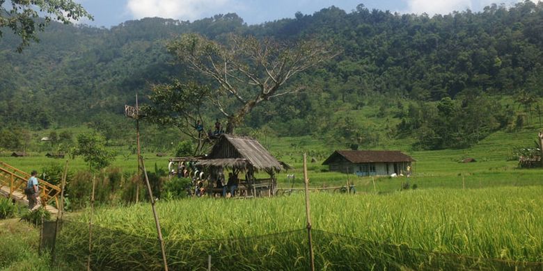 Desa Wisata di Sepakung, Kecamatan Banyubiru, Kabupaten Semarang, Jawa Tengah, Minggu (13/5/2018). 