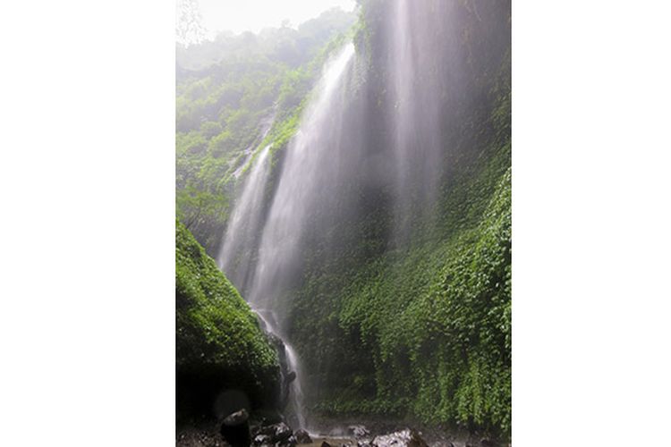 Keindahan Air Terjun Madakaripura bagaikan tirai putih.