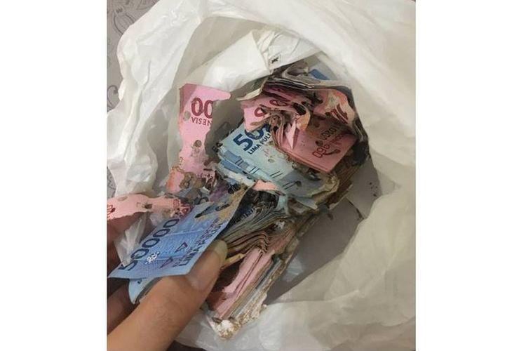 Penampakan uang kertas yang diunggah oleh Putri Buddin (23) senilai Rp 5,4 juta yang disimpan di dalam lemari dan dimakan rayap.