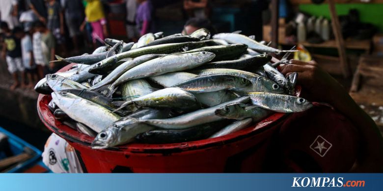 Stok Ikan di Palembang Memadai Jelang Lebaran, tetapi Harga ...