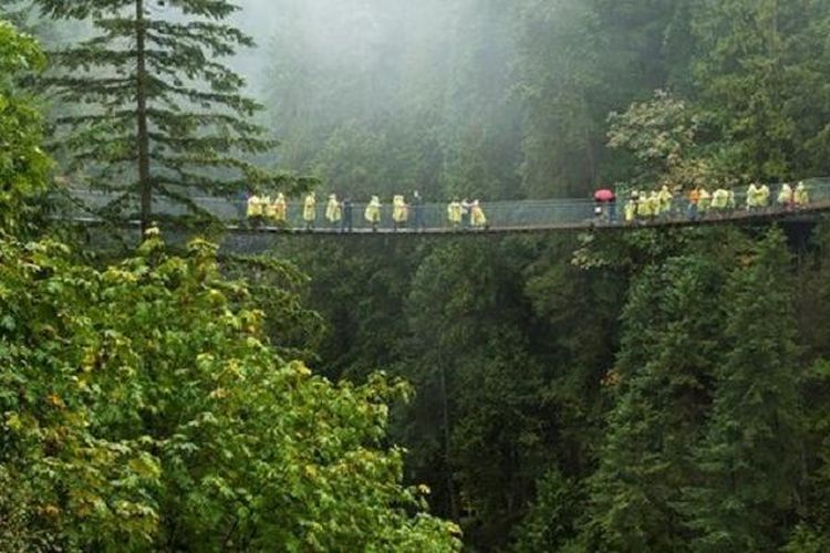 Jembatan Capilano Suspension dibangun setinggi 230 dari dasar Sungai Capilano yang berkelok-kelok. Sementera panjang jembatan ini membentang 450 kaki membelah hutan cemara di Canadian Rockies.