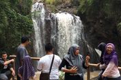 Curug Gending Asmoro, Eksotisme Air Terjun di Tengah Hutan Bambu (2)