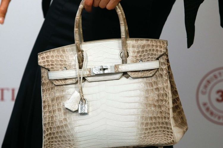 Hermes Himalaya Birkin