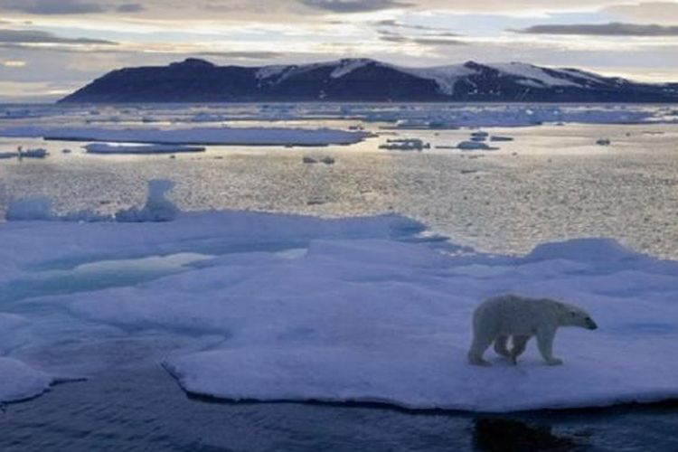 Ilmuwan Temukan "Bom Waktu" di Bawah Samudra Arktik
