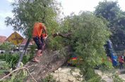 Angin Kencang Terjang Flores Timur, 243 Bangunan Rusak