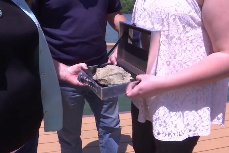 Gadis 11 tahun di AS temukan fosil 475 juta tahun