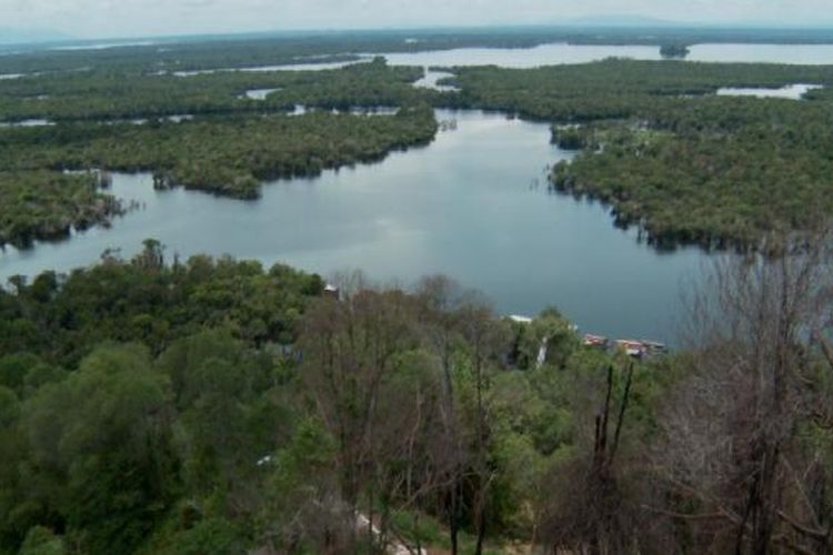 Panorama Danau Sentarum di Kalimantan Barat