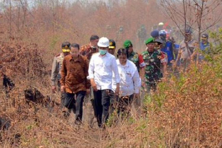 Presiden Joko Widodo saat memantau kabut asap akibat kebakaran hutan di Kalimantan Selatan, Rabu (23/9/2015).
