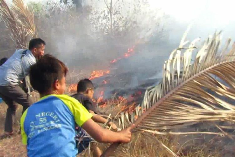 Sembilan hektar lahan gambut di Majene terbakar dan merembet ke permukiman warga. Warga panik karena dikepung asap tebal, Selasa (6/8/2019). 