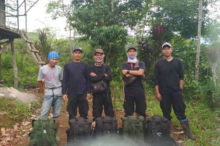 Relawan sapu jerat membersihkan jerat harimau sumatera di wilayah Taman Nasional Kerinci Sebelat (TNKS)