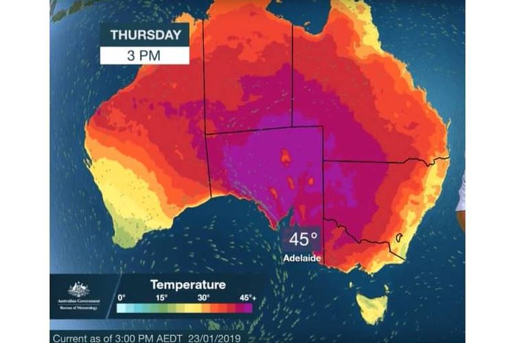Peta prakiraan gelombang panas ekstrem untuk Kamis, ketika catatan suhu diperkirakan akan terpecah dengan cuaca panas di Australia Selatan, Victoria, Tasmania, dan NSW.