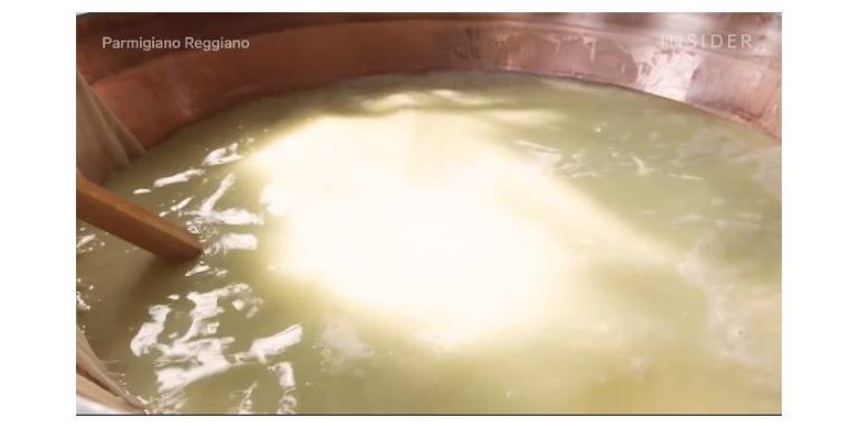 Susu sapi segar sedang diolah dalam tong untuk dijadikan Keju Parmesan.