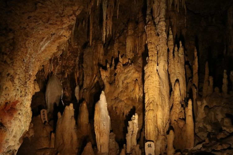 Salah satu stalagtit dan stalagmit yang sudah bertemu menjadi doom, diperkirakan telah terbentuk sejak 300.000 tahun yang lalu di Goa Gyokusendo, yang merupakan ekosistem goa terbesar di Jepang, berada di kawasan Okinawa World, Sabtu (29/6/2018).