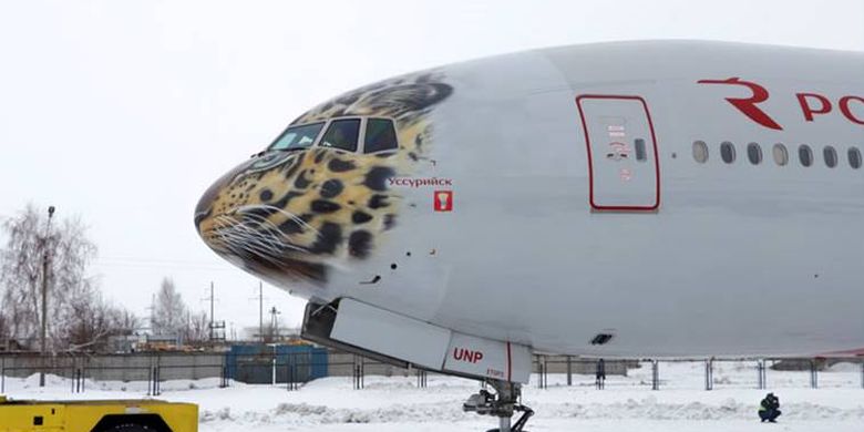 Pesawat Boeing 777-300 dihias wajah macan tutul Amur pada bagian mocongnya.